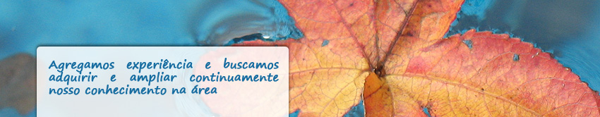 Banner - MM Paula Manutenção de Piscinas